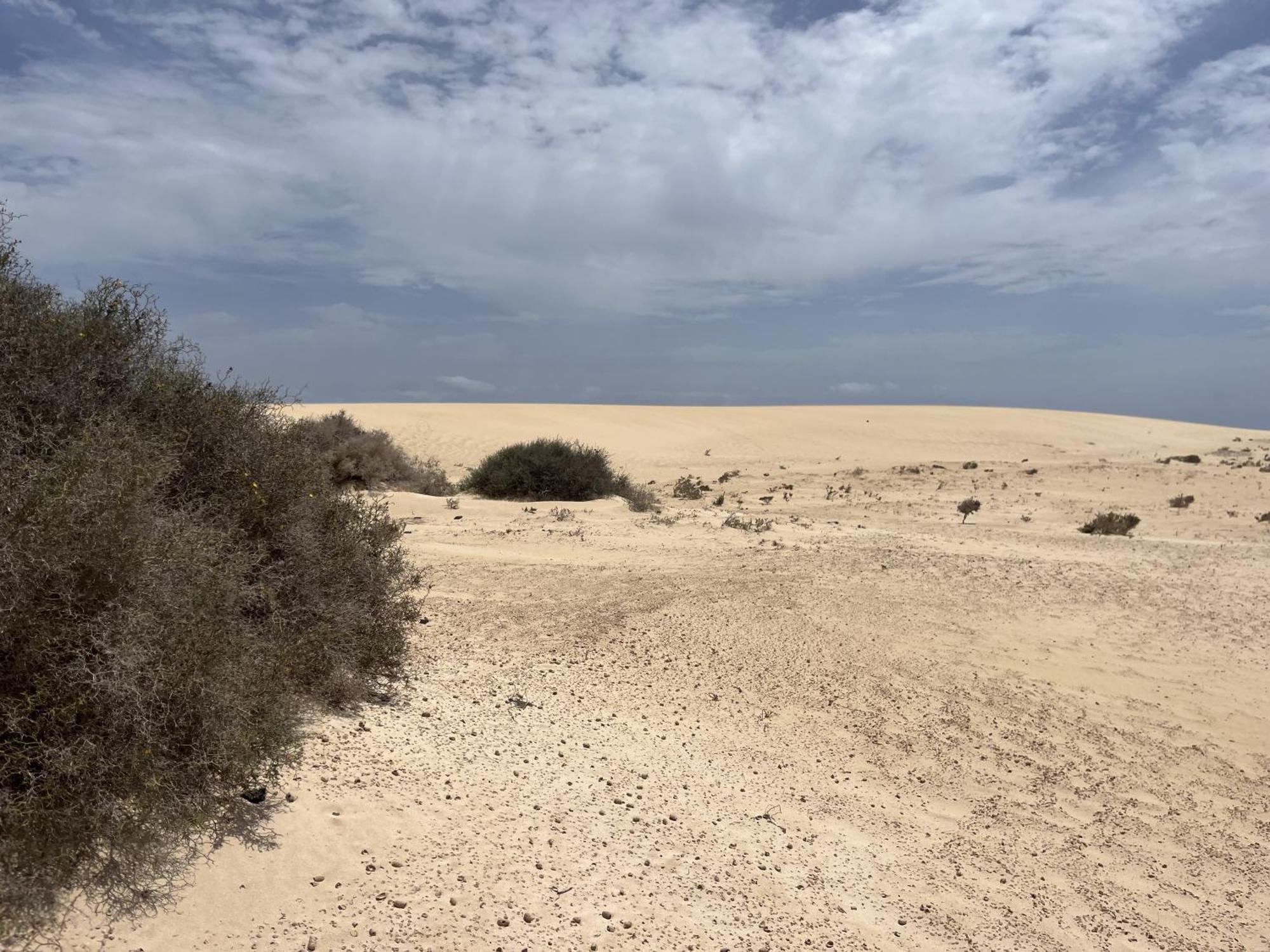 Villa Bf Paraiso De Tranquilidad Villaverde  المظهر الخارجي الصورة