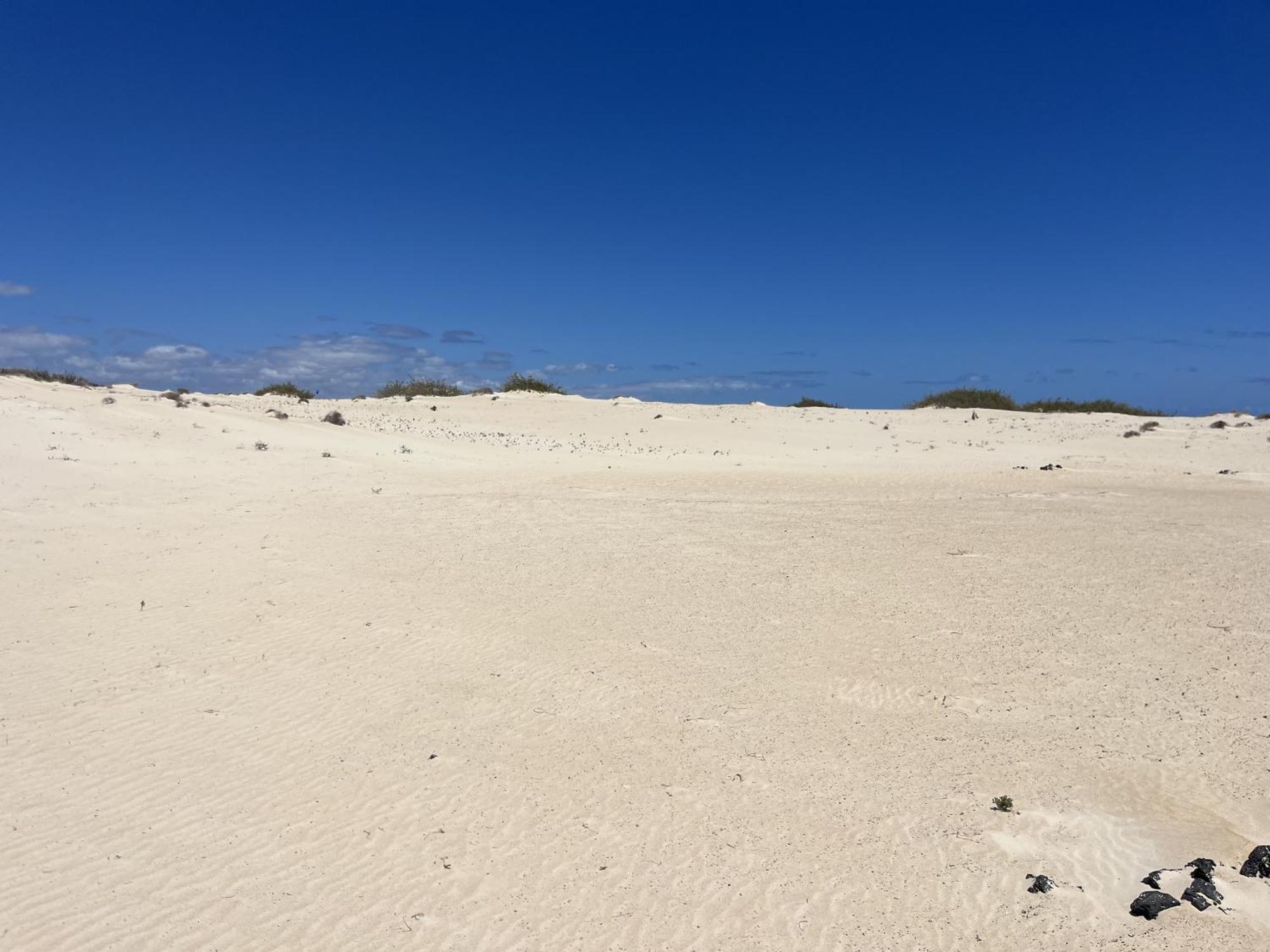 Villa Bf Paraiso De Tranquilidad Villaverde  المظهر الخارجي الصورة